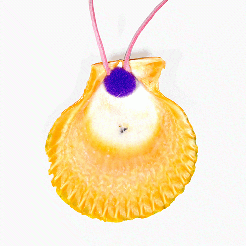 가리비조개목걸이-꽃