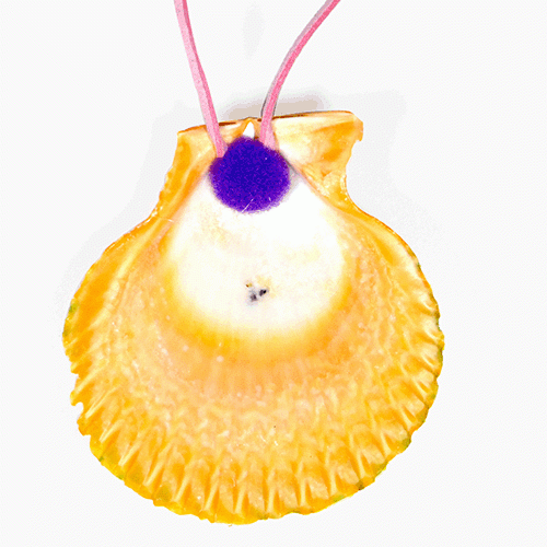 가리비조개목걸이-나비