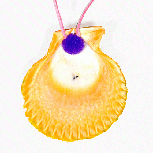 가리비조개목걸이-못난이