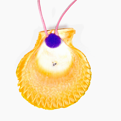 가리비조개목걸이-잠자리